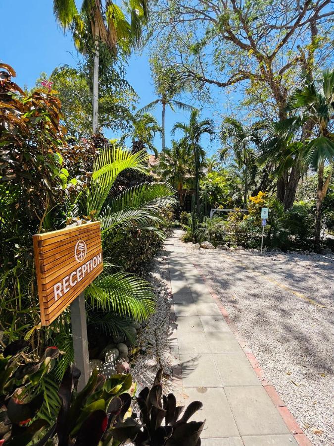 Hotel El Manglar Playa Grande Buitenkant foto
